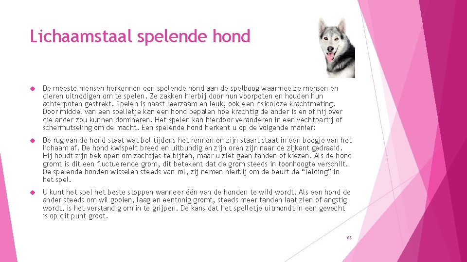 Lichaamstaal spelende hond De meeste mensen herkennen een spelende hond aan de spelboog waarmee