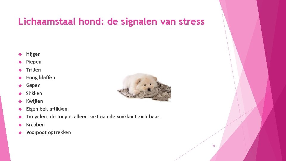 Lichaamstaal hond: de signalen van stress Hijgen Piepen Trillen Hoog blaffen Gapen Slikken Kwijlen