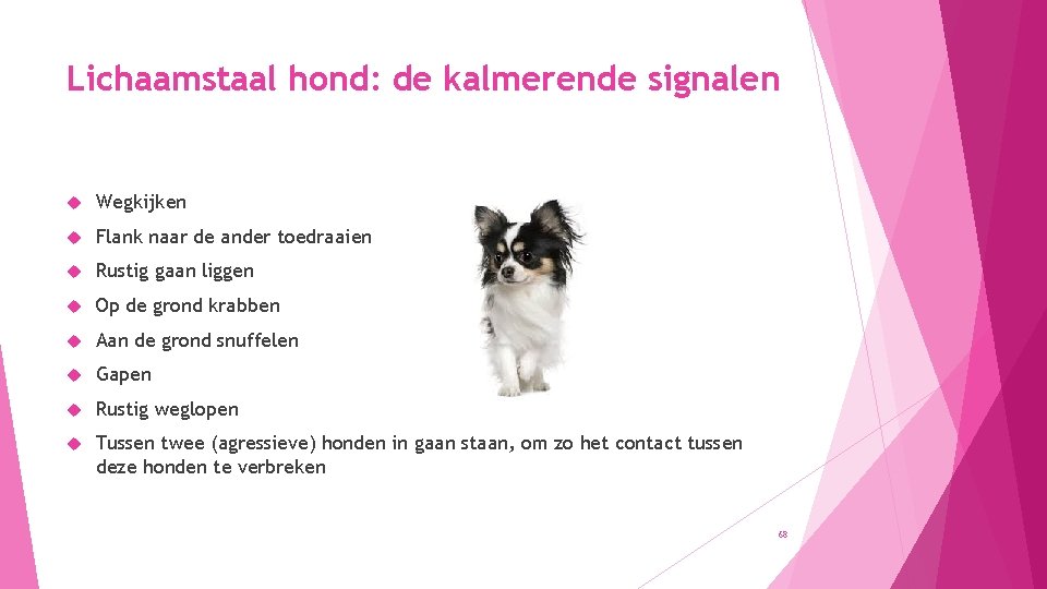 Lichaamstaal hond: de kalmerende signalen Wegkijken Flank naar de ander toedraaien Rustig gaan liggen