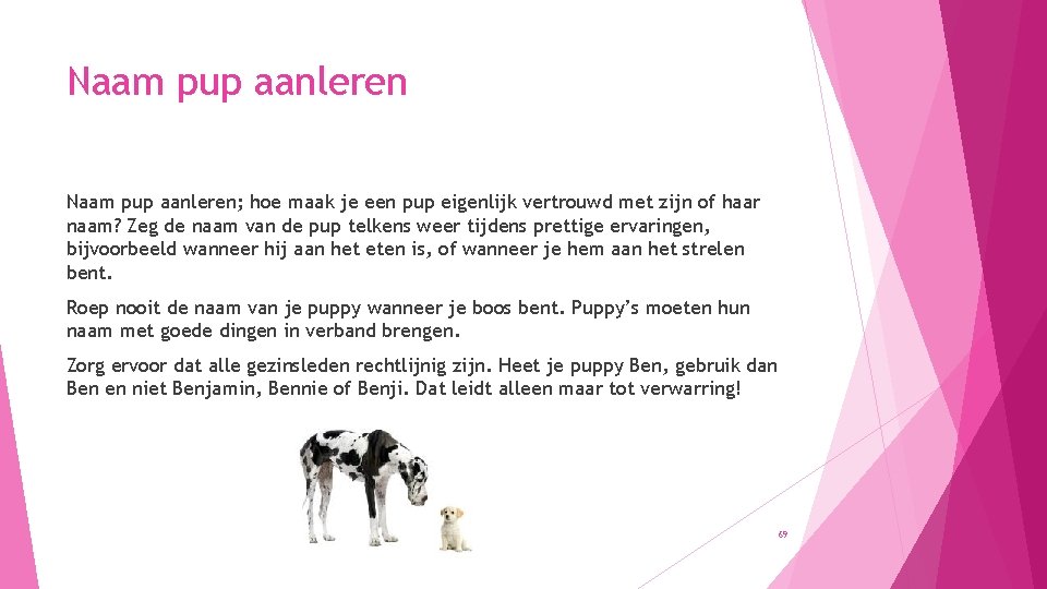 Naam pup aanleren; hoe maak je een pup eigenlijk vertrouwd met zijn of haar