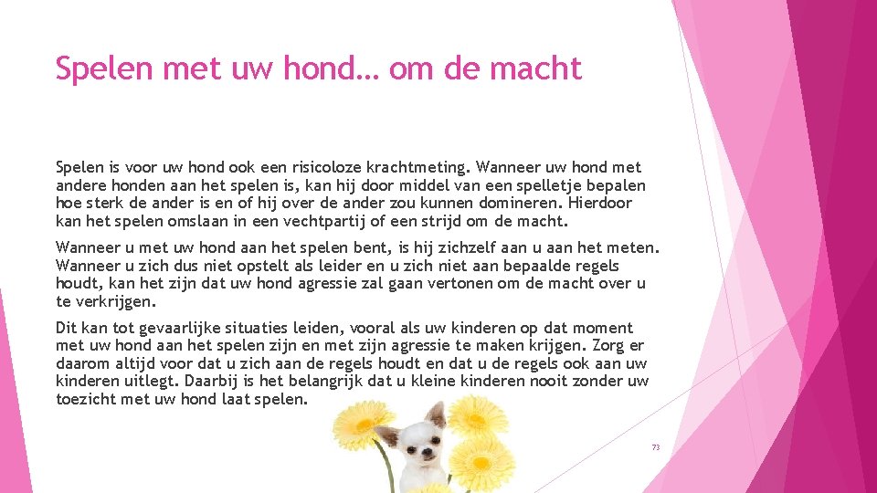 Spelen met uw hond… om de macht Spelen is voor uw hond ook een