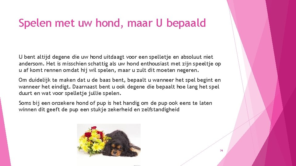 Spelen met uw hond, maar U bepaald U bent altijd degene die uw hond