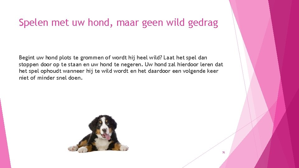 Spelen met uw hond, maar geen wild gedrag Begint uw hond plots te grommen