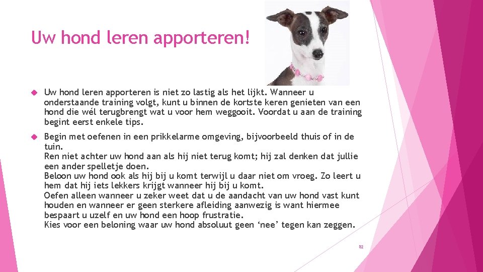 Uw hond leren apporteren! Uw hond leren apporteren is niet zo lastig als het