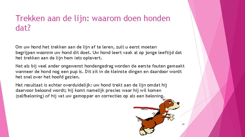 Trekken aan de lijn: waarom doen honden dat? Om uw hond het trekken aan