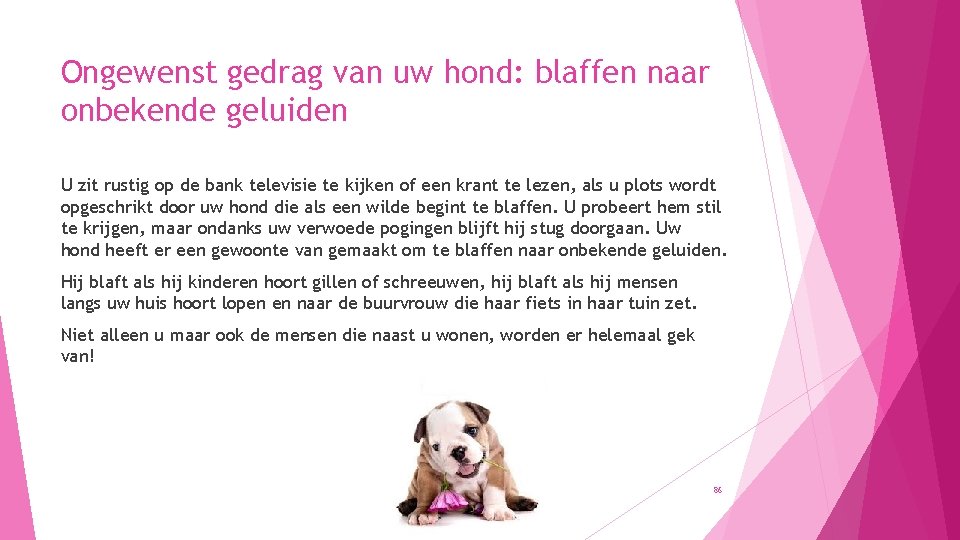 Ongewenst gedrag van uw hond: blaffen naar onbekende geluiden U zit rustig op de