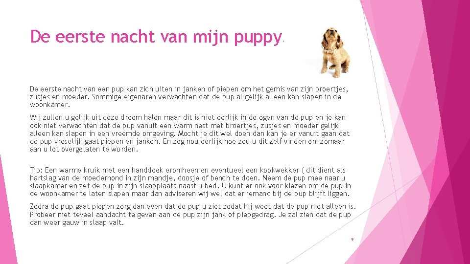 De eerste nacht van mijn puppy. De eerste nacht van een pup kan zich