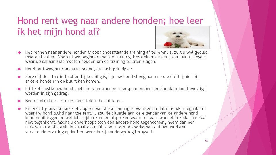 Hond rent weg naar andere honden; hoe leer ik het mijn hond af? Het
