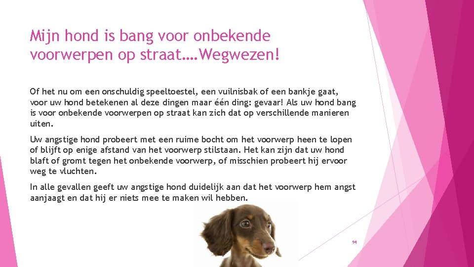 Mijn hond is bang voor onbekende voorwerpen op straat…. Wegwezen! Of het nu om