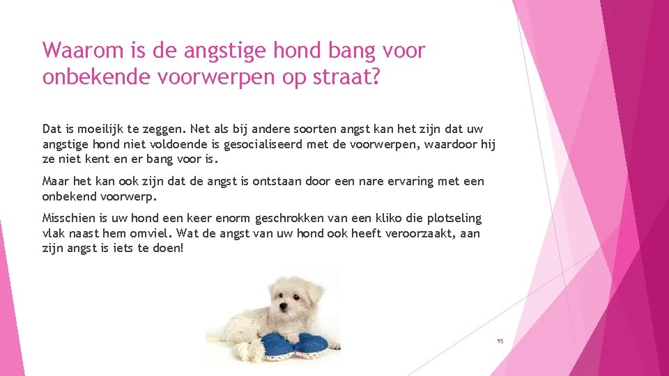 Waarom is de angstige hond bang voor onbekende voorwerpen op straat? Dat is moeilijk