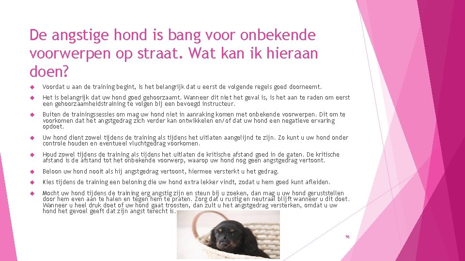 De angstige hond is bang voor onbekende voorwerpen op straat. Wat kan ik hieraan