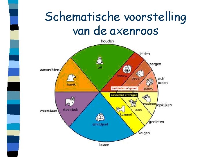 Schematische voorstelling van de axenroos 