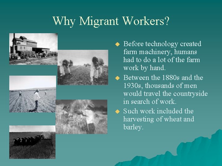 Why Migrant Workers? u u u Before technology created farm machinery, humans had to