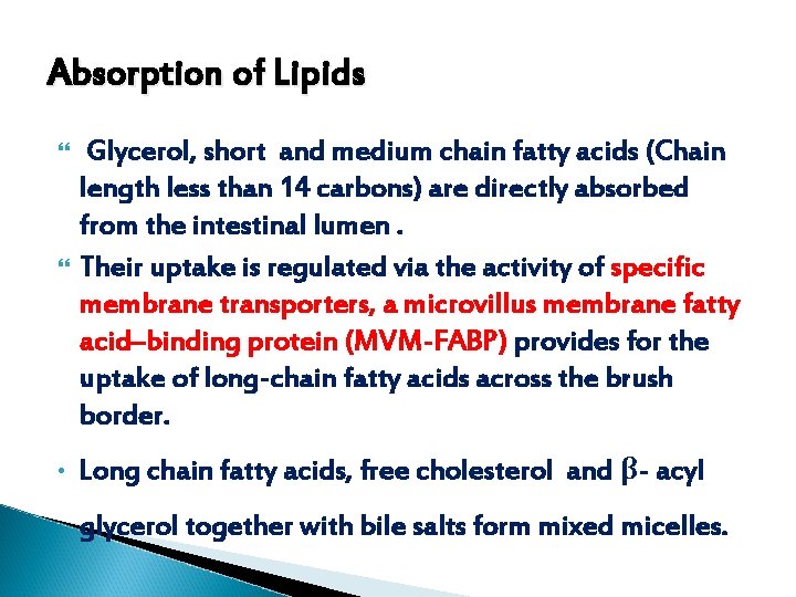 Absorption of Lipids • Glycerol, short and medium chain fatty acids (Chain length less