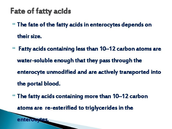 Fate of fatty acids The fate of the fatty acids in enterocytes depends on