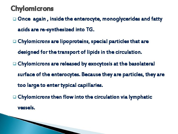 Chylomicrons q Once again , inside the enterocyte, monoglycerides and fatty acids are re-synthesized