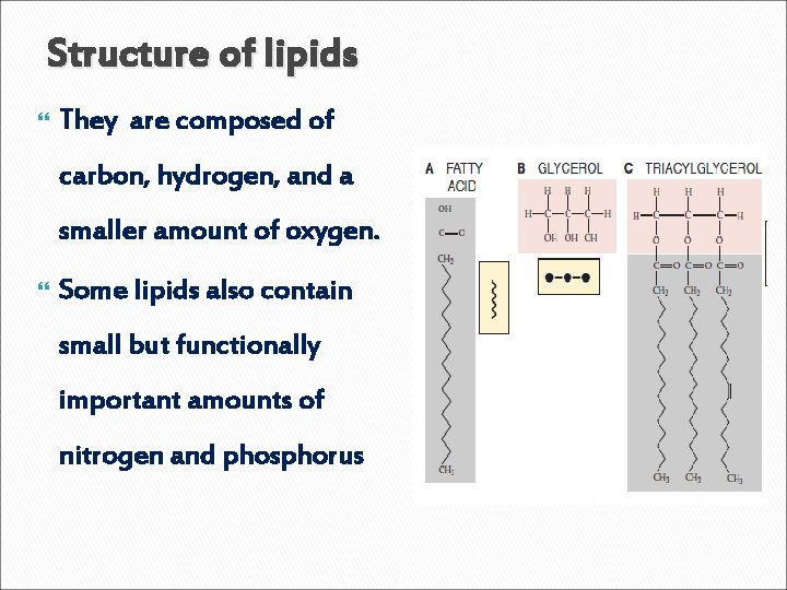 Structure of lipids They are composed of carbon, hydrogen, and a smaller amount of