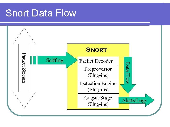 Snort Data Flow 