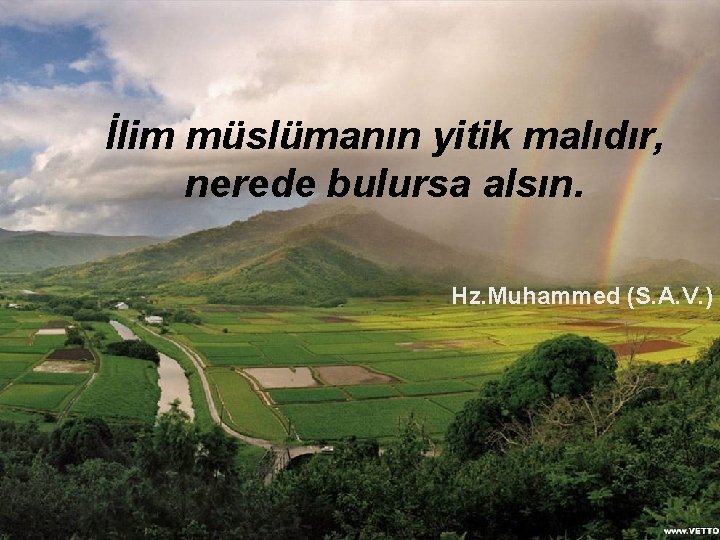  İlim müslümanın yitik malıdır, nerede bulursa alsın. Hz. Muhammed (S. A. V. )