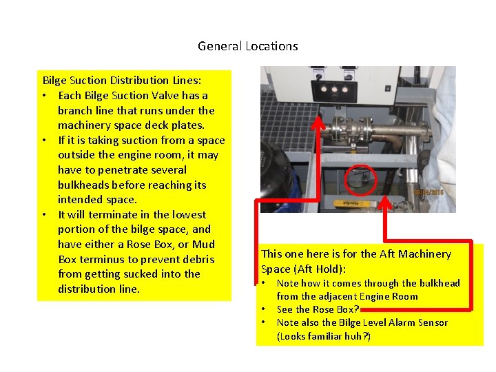 General Locations Bilge Suction Distribution Lines: • Each Bilge Suction Valve has a branch