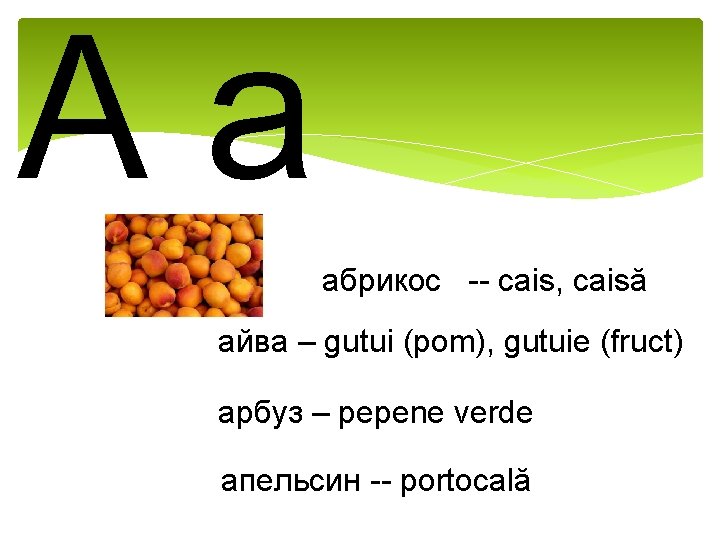 Aa абрикос -- cais, caisă айва – gutui (pom), gutuie (fruct) арбуз – pepene