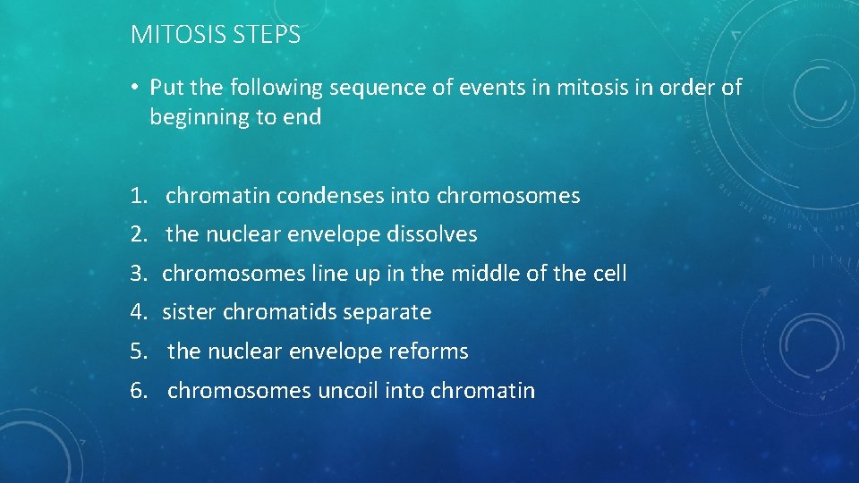 MITOSIS STEPS • Put the following sequence of events in mitosis in order of