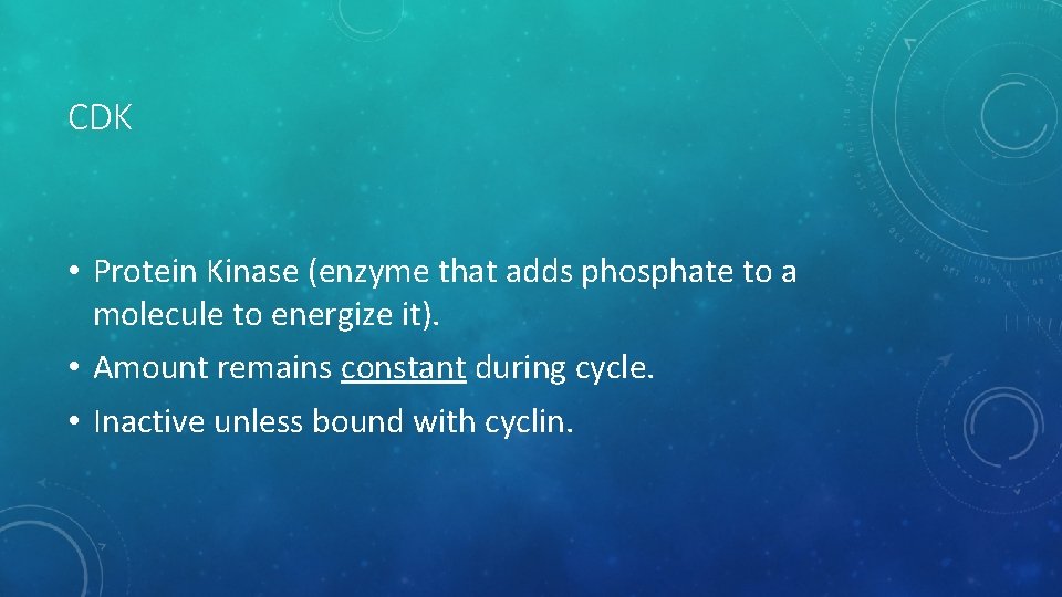 CDK • Protein Kinase (enzyme that adds phosphate to a molecule to energize it).