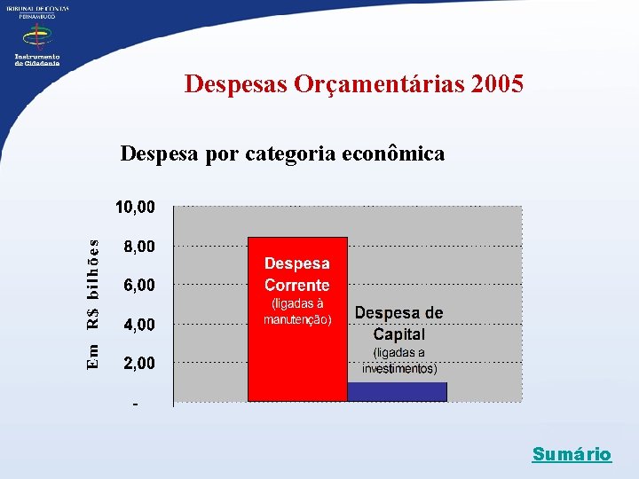 Despesas Orçamentárias 2005 Despesa por categoria econômica Sumário 