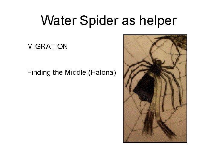 Water Spider as helper MIGRATION Finding the Middle (Halona) 