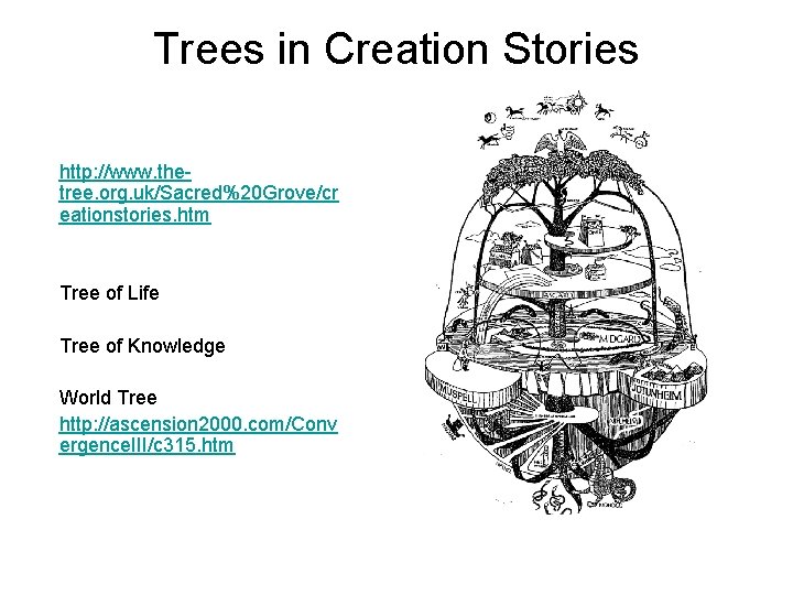 Trees in Creation Stories http: //www. thetree. org. uk/Sacred%20 Grove/cr eationstories. htm Tree of
