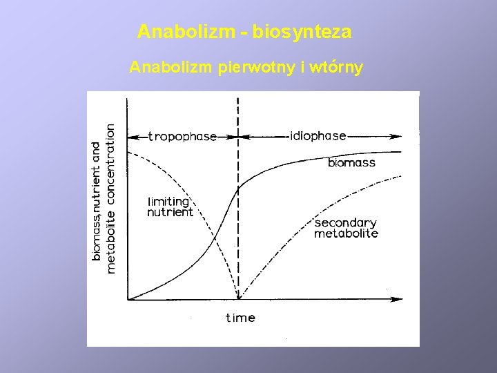 Anabolizm - biosynteza Anabolizm pierwotny i wtórny 