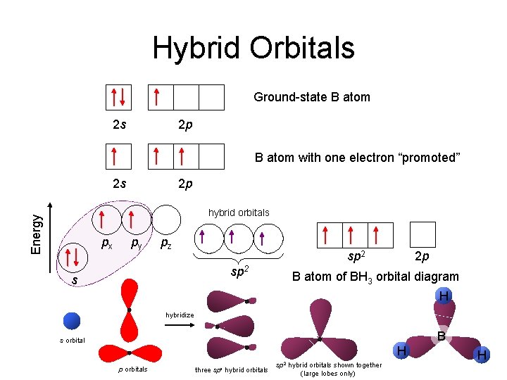 Hybrid Orbitals Ground-state B atom 2 s 2 p B atom with one electron