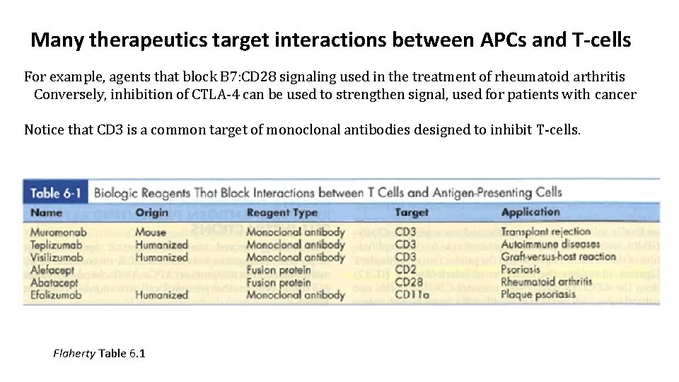 Many therapeutics target interactions between APCs and T-cells For example, agents that block B