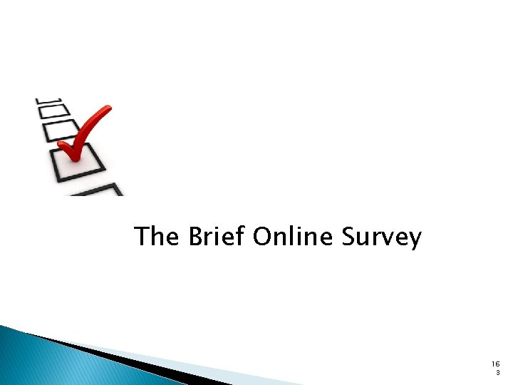 The Brief Online Survey 16 3 