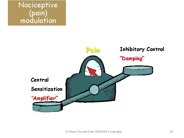 Nociceptive (pain) modulation Pain Inhibitory Control “Damping” Central Sensitization “Amplifier” EJ Visser Churack Chair