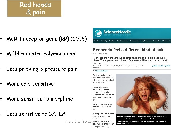 Red heads & pain • MCR 1 receptor gene (RR) (CS 16) • MSH