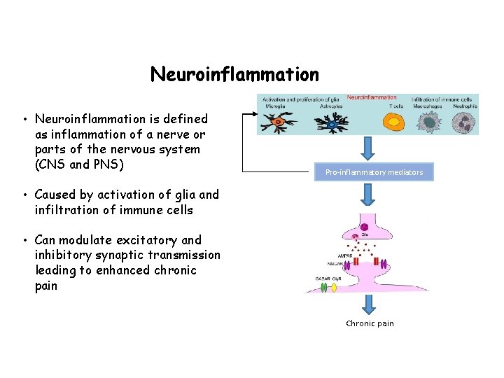 Neuroinflammation • Neuroinflammation is defined as inflammation of a nerve or parts of the