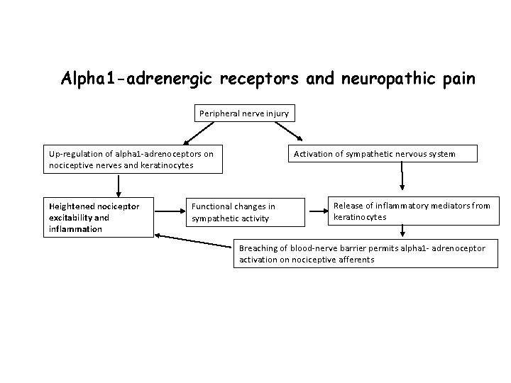 Alpha 1 -adrenergic receptors and neuropathic pain Peripheral nerve injury Activation of sympathetic nervous