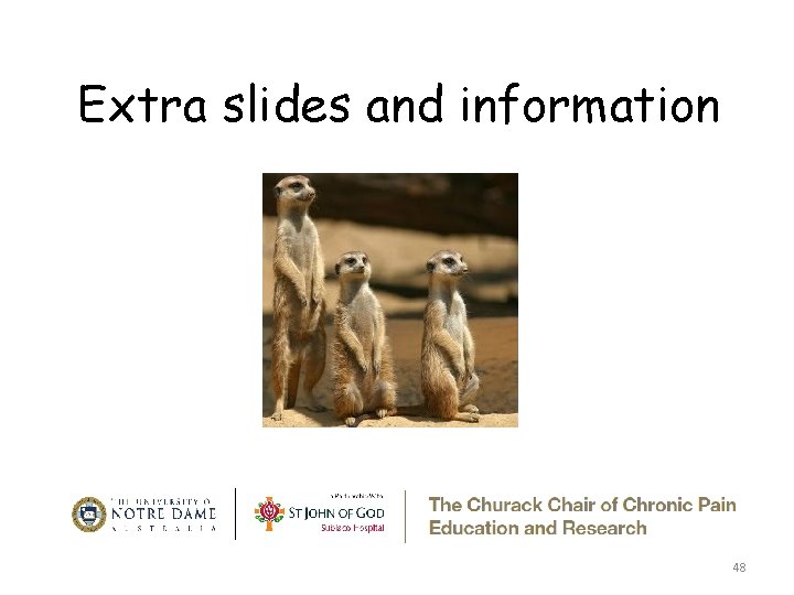 Extra slides and information 48 