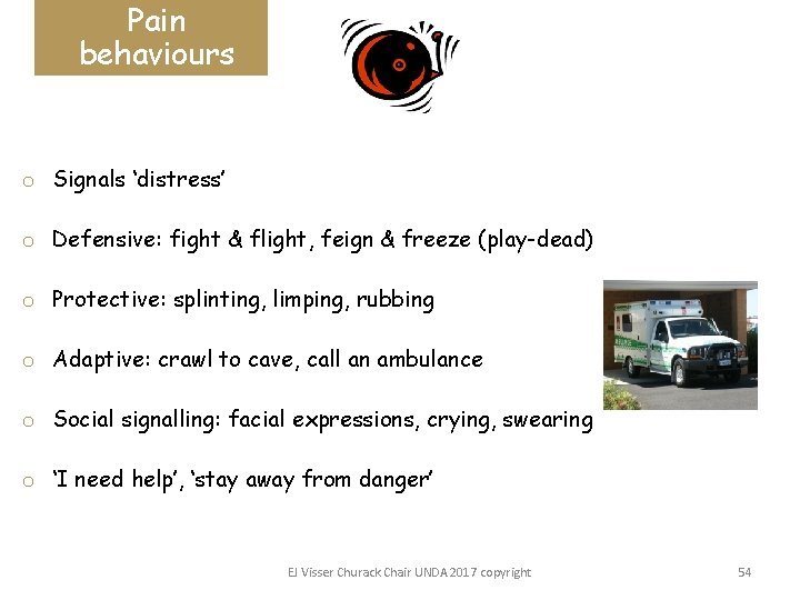 Pain behaviours o Signals ‘distress’ o Defensive: fight & flight, feign & freeze (play-dead)