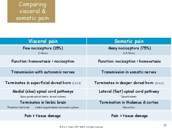 Comparing visceral & somatic pain Visceral pain Somatic pain Few nociceptors (15%) Many nociceptors