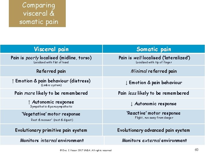 Comparing visceral & somatic pain Visceral pain Somatic pain Pain is poorly localised (midline,