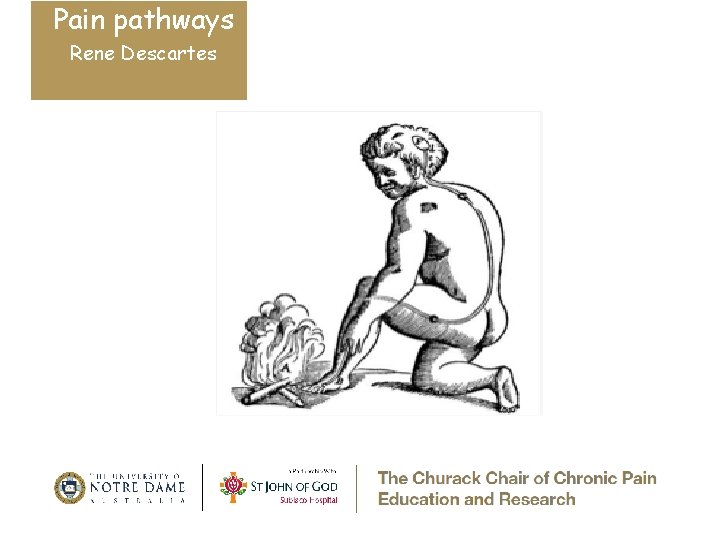 Pain pathways Rene Descartes 