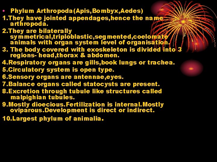  • Phylum Arthropoda(Apis, Bombyx, Aedes) 1. They have jointed appendages, hence the name