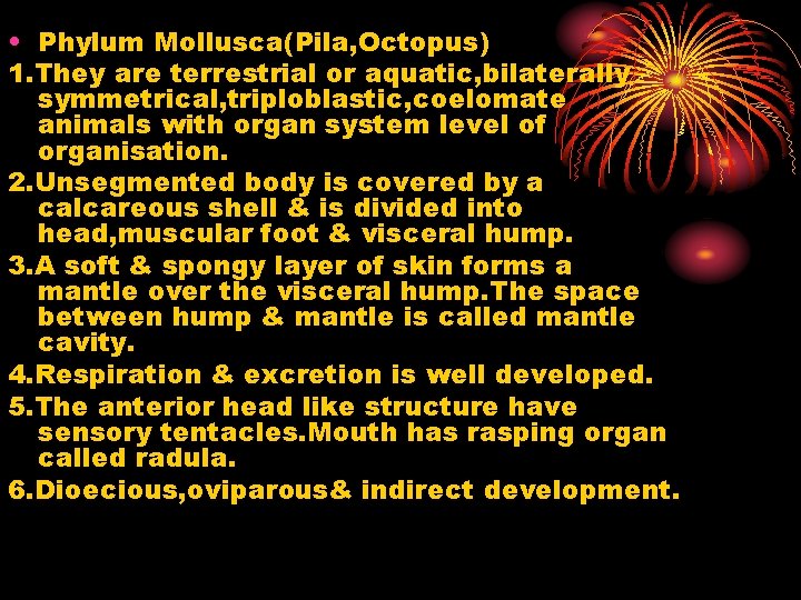  • Phylum Mollusca(Pila, Octopus) 1. They are terrestrial or aquatic, bilaterally symmetrical, triploblastic,