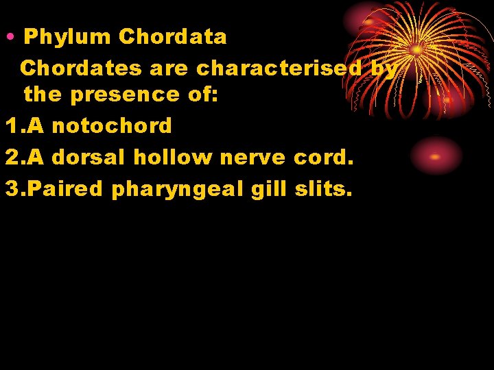  • Phylum Chordata Chordates are characterised by the presence of: 1. A notochord