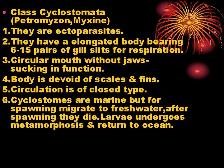  • Class Cyclostomata (Petromyzon, Myxine) 1. They are ectoparasites. 2. They have a