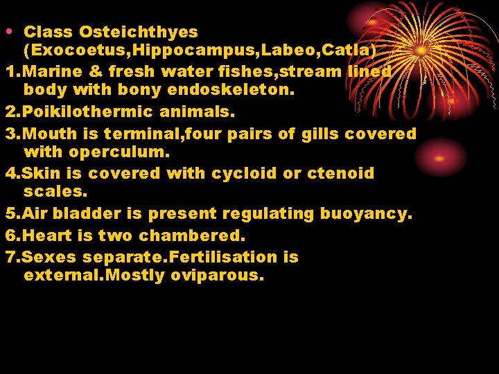  • Class Osteichthyes (Exocoetus, Hippocampus, Labeo, Catla) 1. Marine & fresh water fishes,