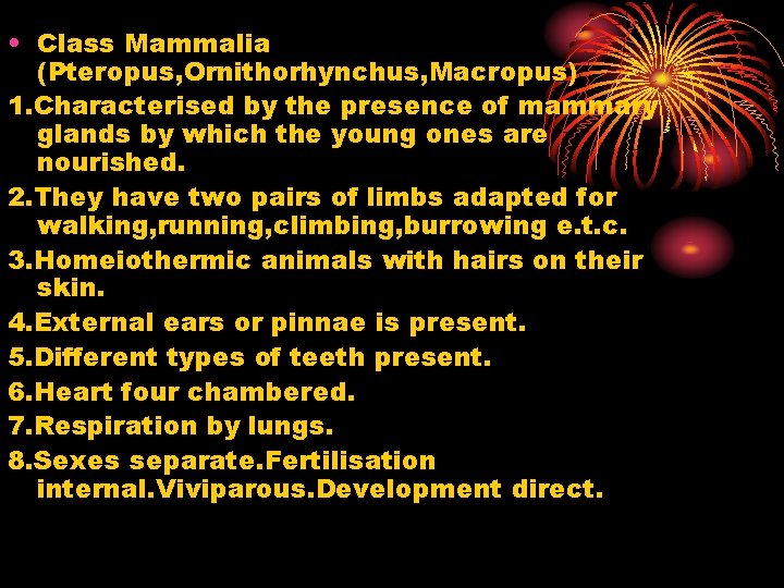  • Class Mammalia (Pteropus, Ornithorhynchus, Macropus) 1. Characterised by the presence of mammary