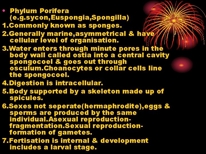  • Phylum Porifera (e. g. sycon, Euspongia, Spongilla) 1. Commonly known as sponges.